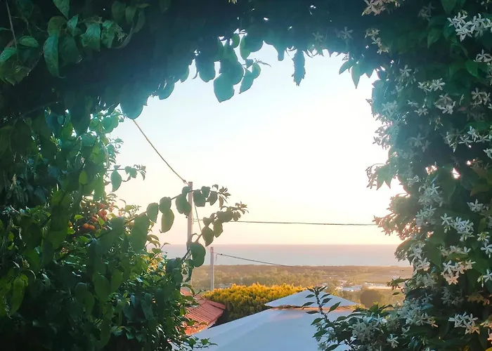 Amorevole Villa Con Terrazza E Doccia Esterna